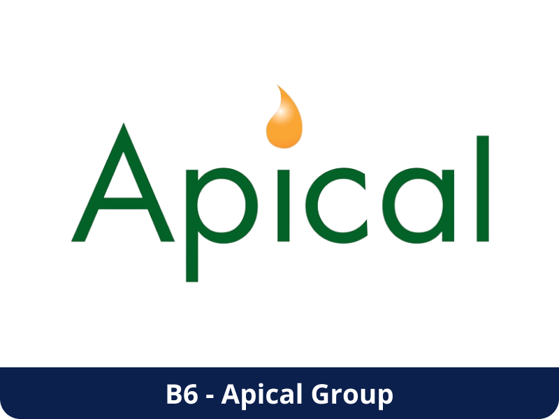 Apical Group