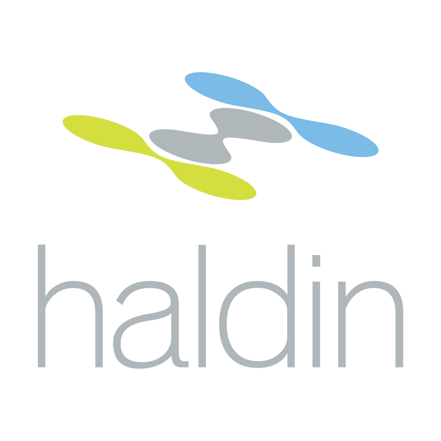 HALDIN GROUP