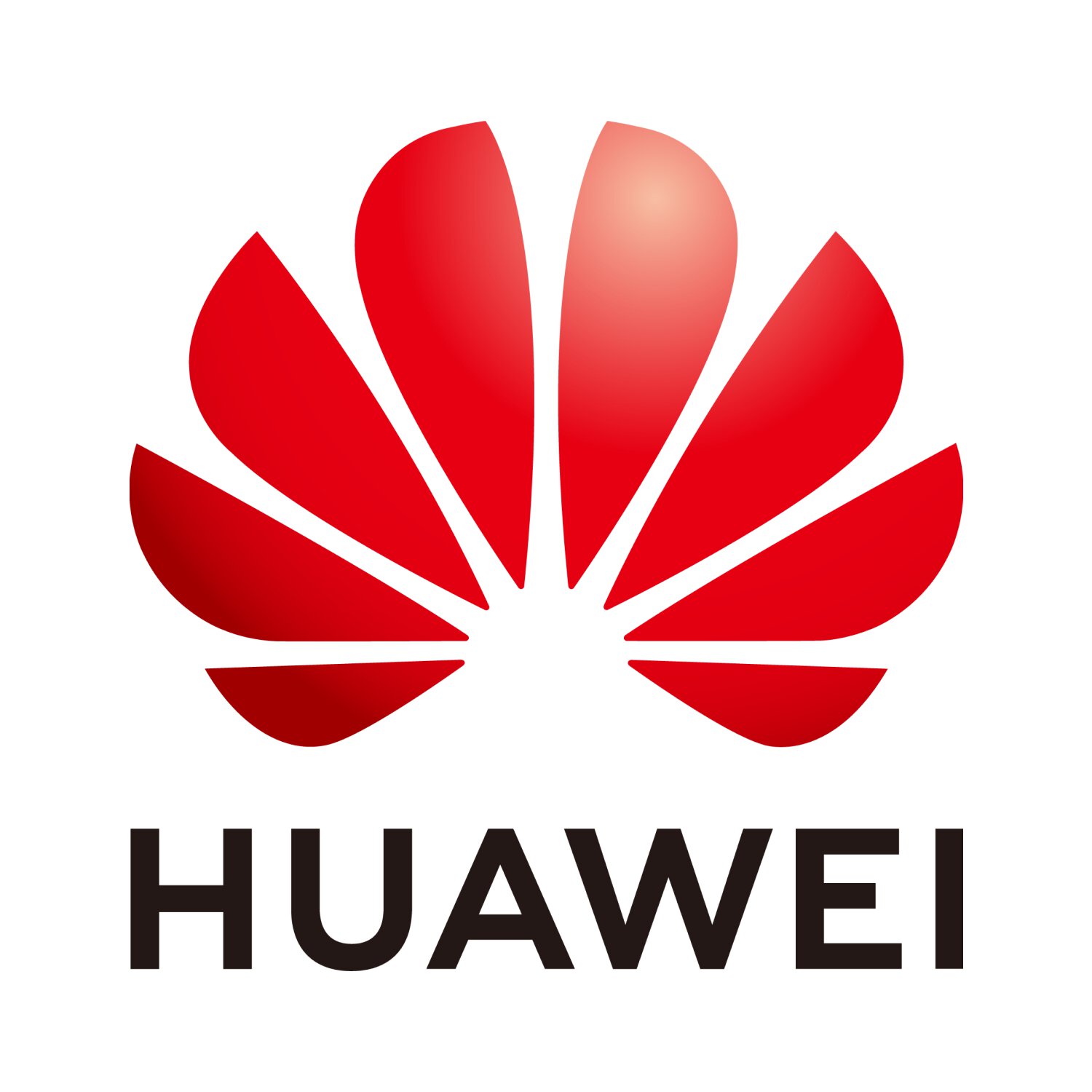 HUAWEI TECH INVESTMENT